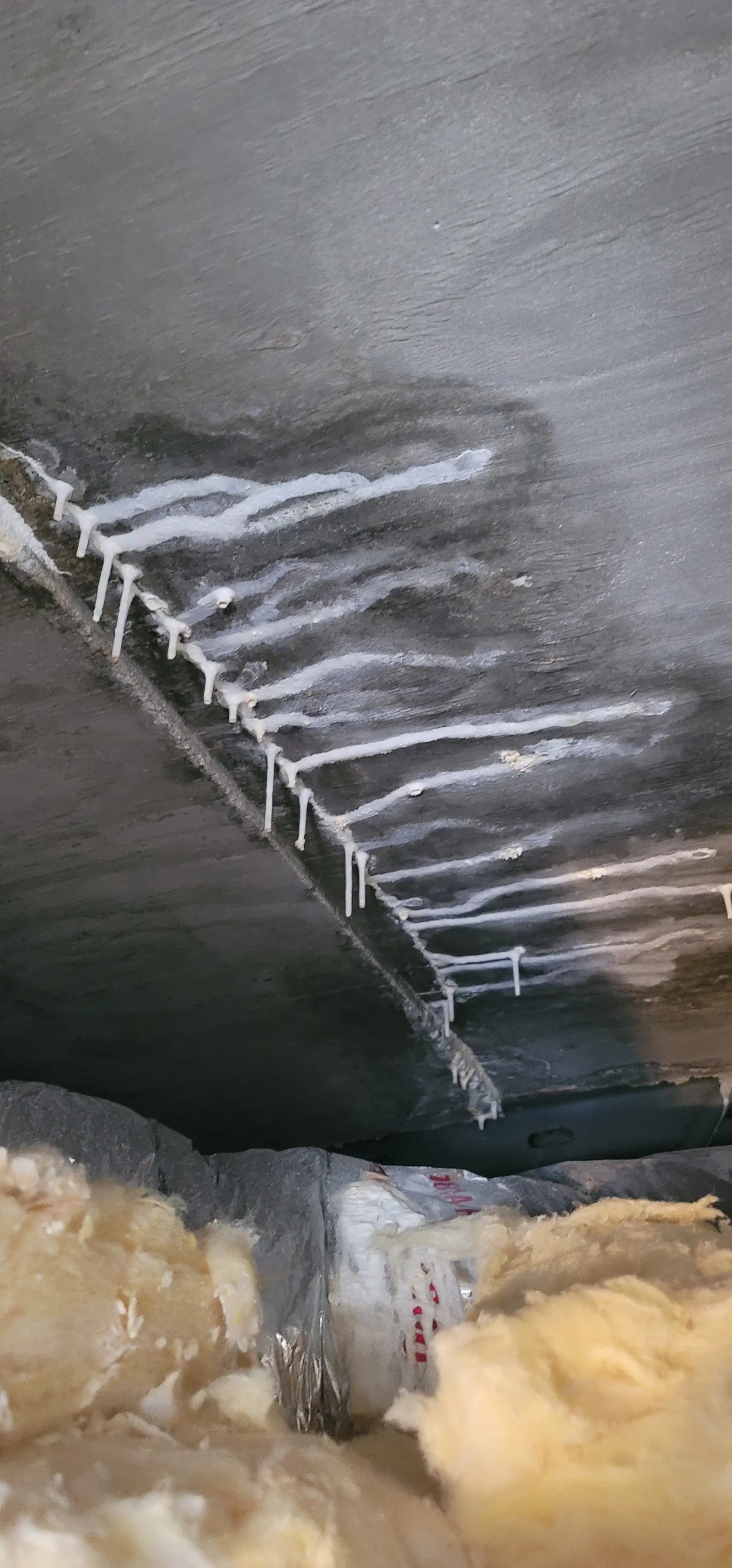Active interior ceiling leak and water intrusion inspection
